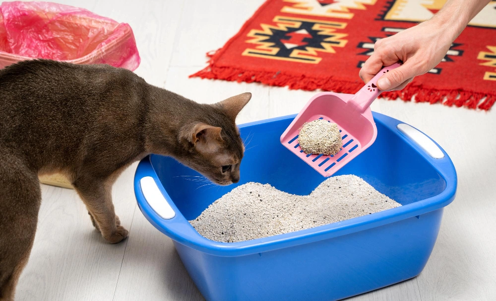 Sustainable Cat Litter,
Eco Pet Pathway