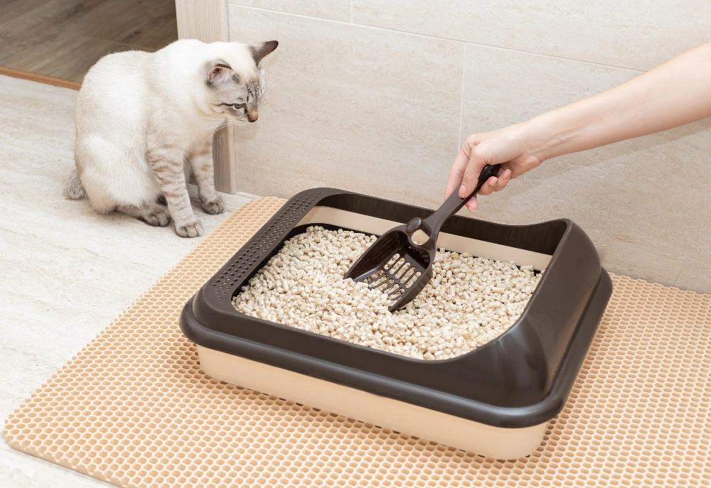 Sustainable Cat Litter,
Eco Pet Pathway