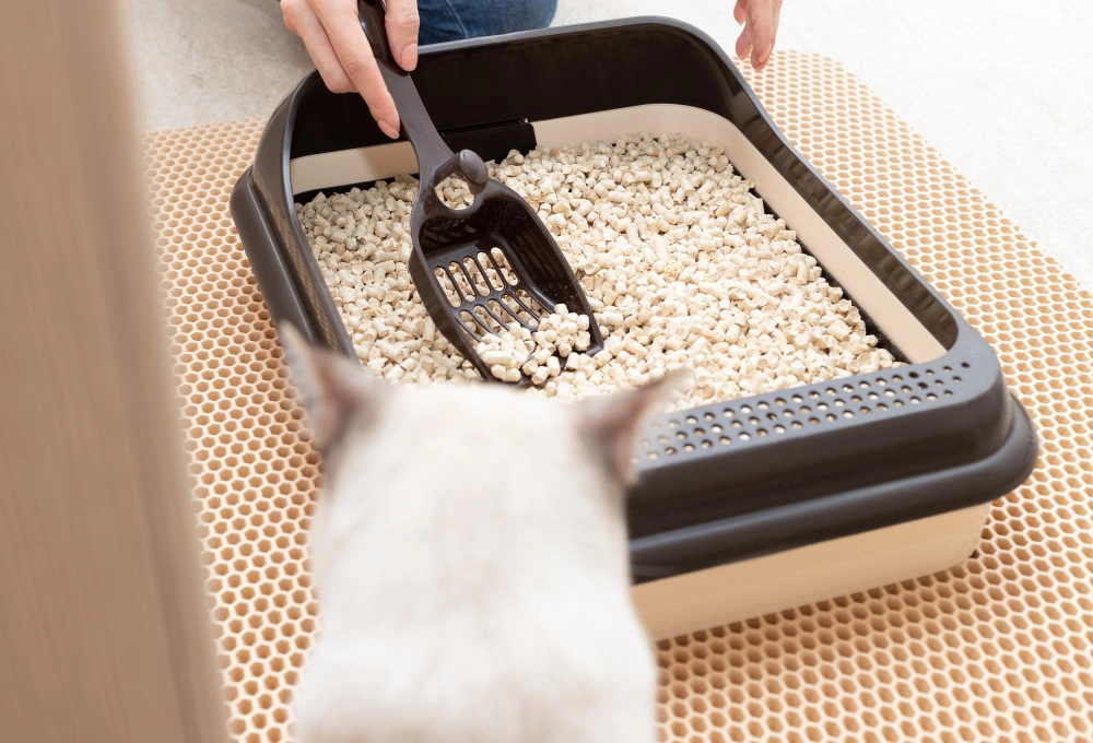 Sustainable Cat Litter, Eco Pet Pathway