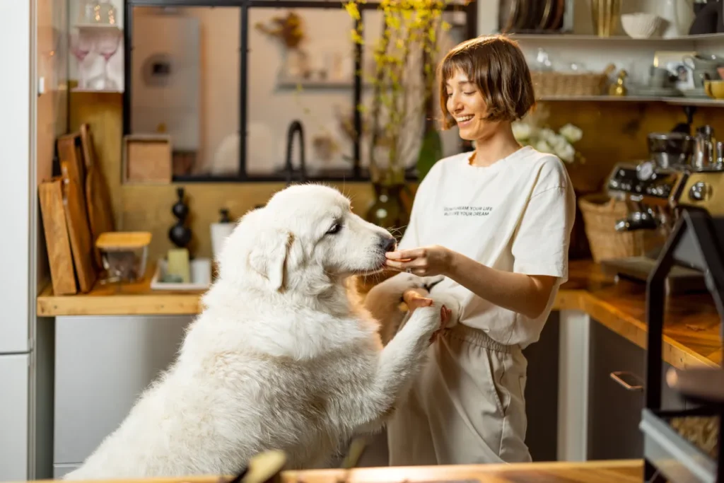 Best Vegan Dog Treats, Eco pet pathway