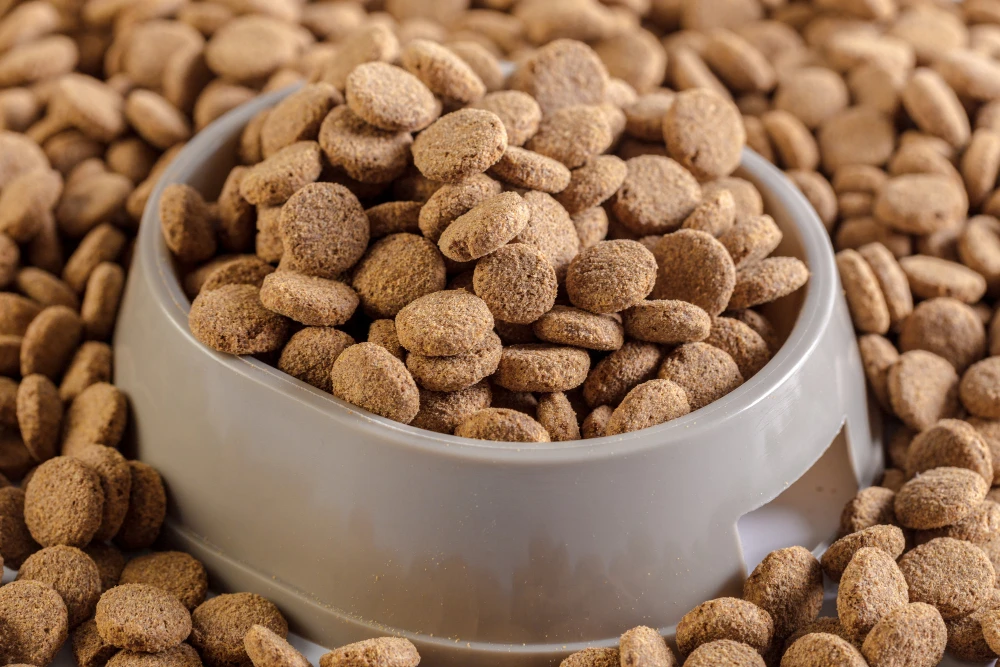 Grain-Free Dog Food for Allergies, Eco pet pathway
