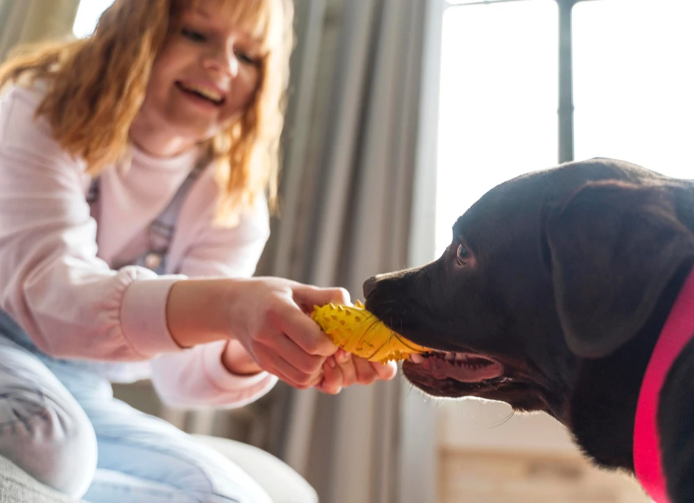 Natural Joint Supplements for Dogs, Eco pet pathway