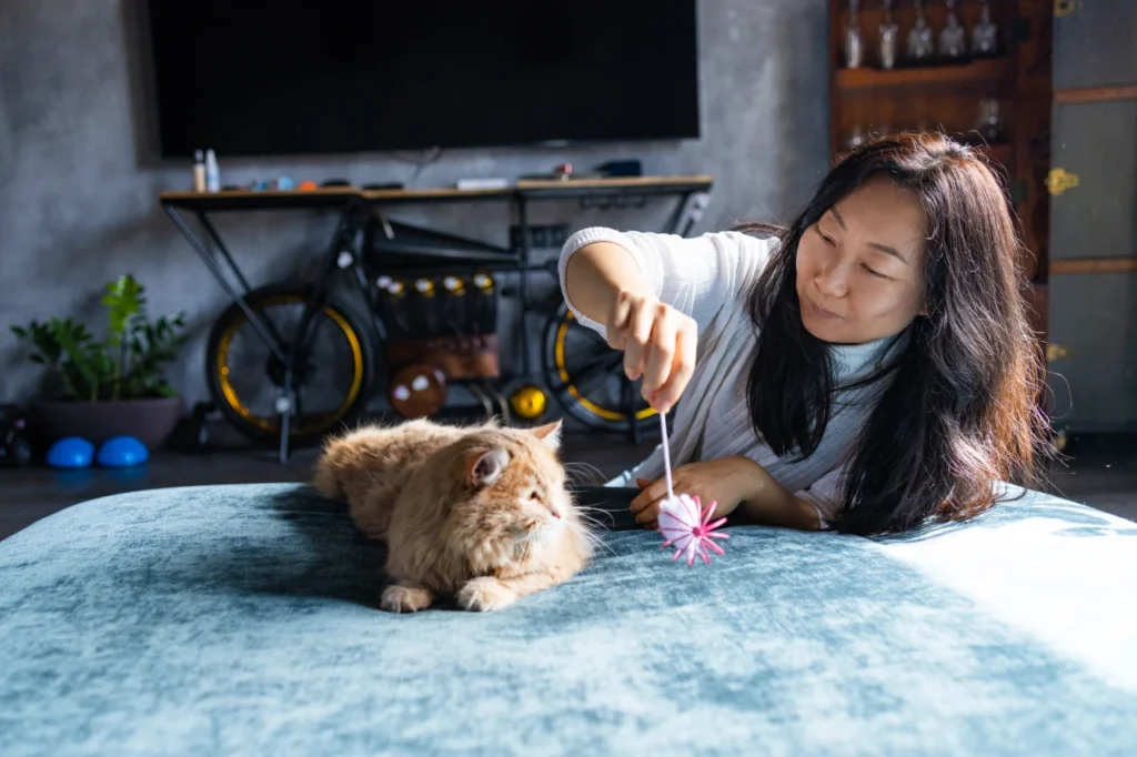 Sustainable Cat Toys, Eco pet pathway