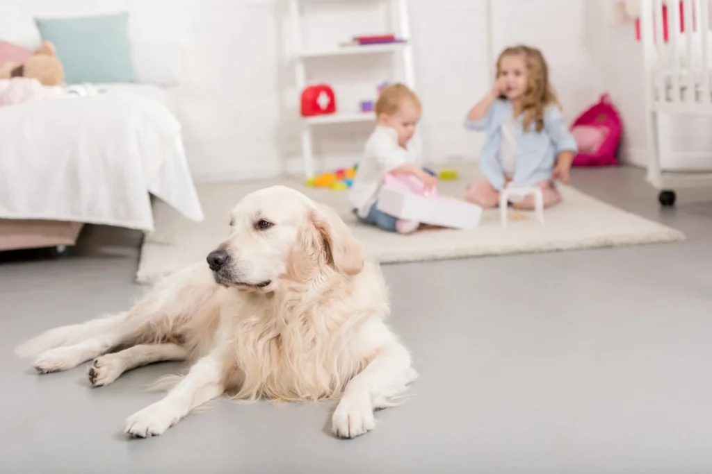 Homemade Pet Safe Floor Cleaner, Eco pet pathway