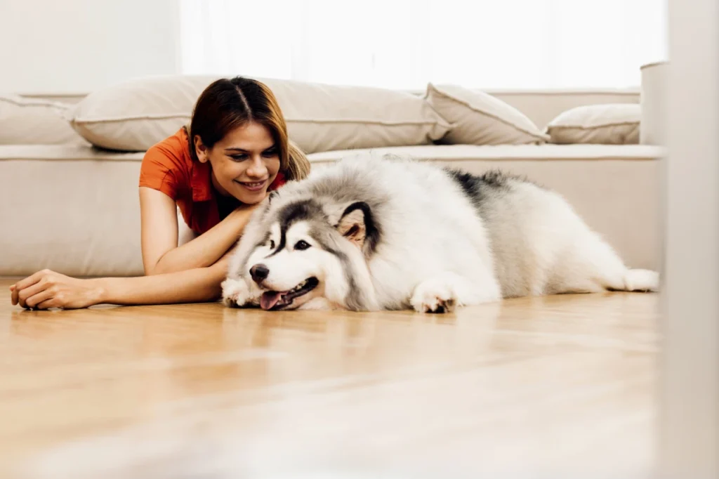 Homemade Pet Safe Floor Cleaner, Eco pet pathway