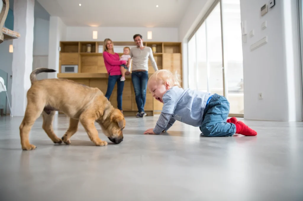 Homemade Pet Safe Floor Cleaner, Eco pet pathway