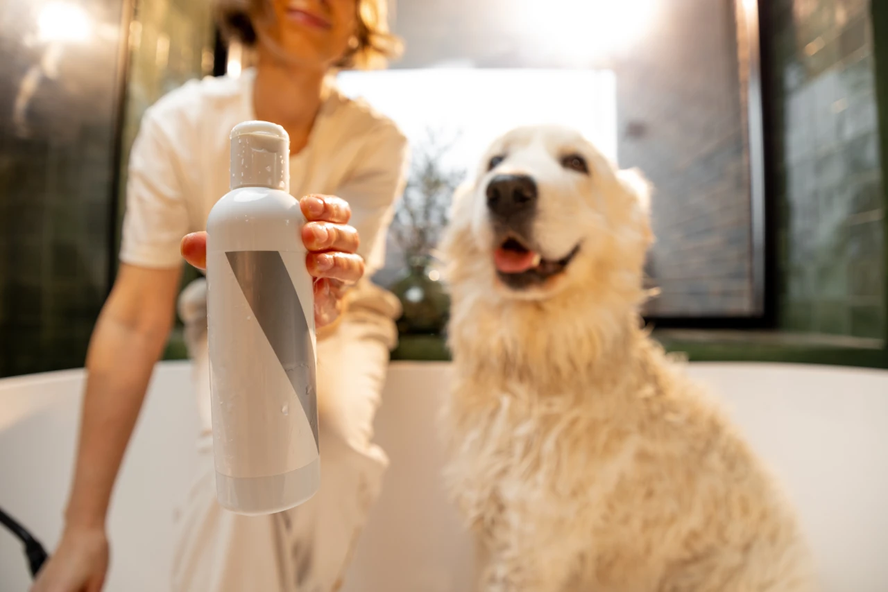 Natural Dog Deodorant, Eco pet pathway