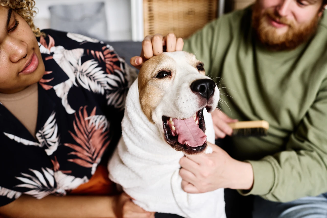 Natural Dog Deodorant, Eco pet pathway