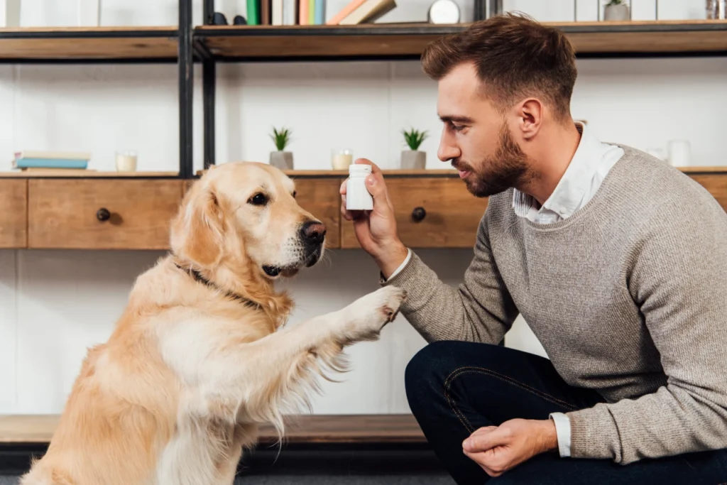 Natural Dog Deodorant, Eco pet pathway