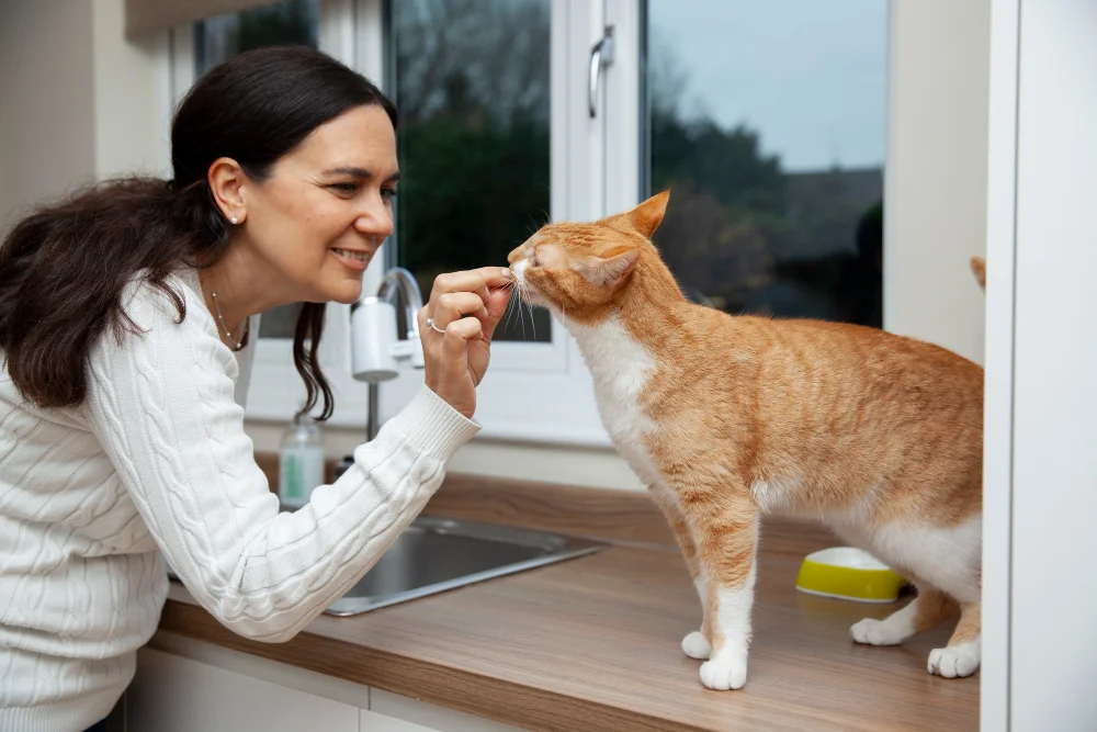 How Often Should I Deworm My Cat, Eco Pet Pathway