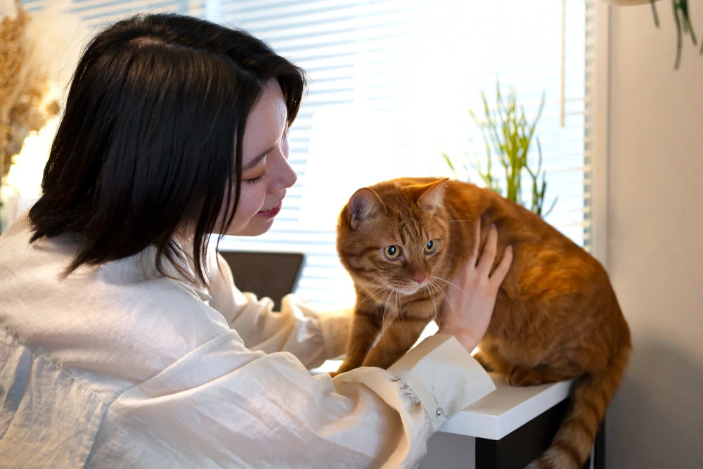 How Often Should I Deworm My Cat, Eco Pet Pathway