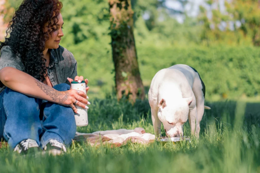 Organic Dog Food, Eco Pet Pathway