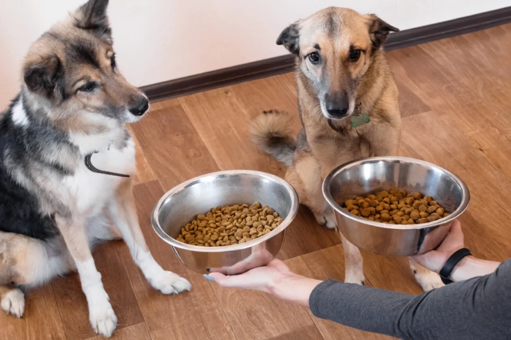 Organic Dog Food, Eco Pet Pathway