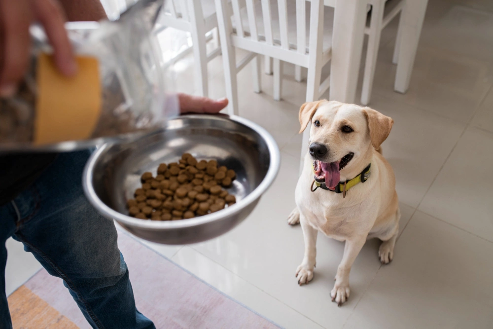 homemade dog treats recipes vet approved, Eco pet pathway