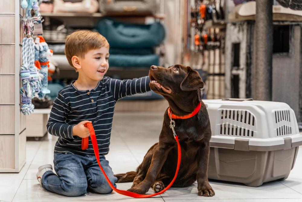 How to Crate Train a Dog , Eco pet pathway