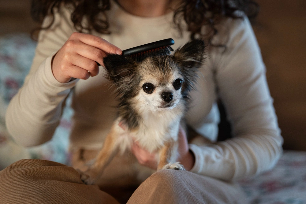pet grooming tools for dogs, Eco pet pathway