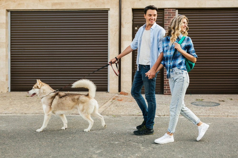 Best Leash for Dogs That Pull,
Eco Pet Pathway