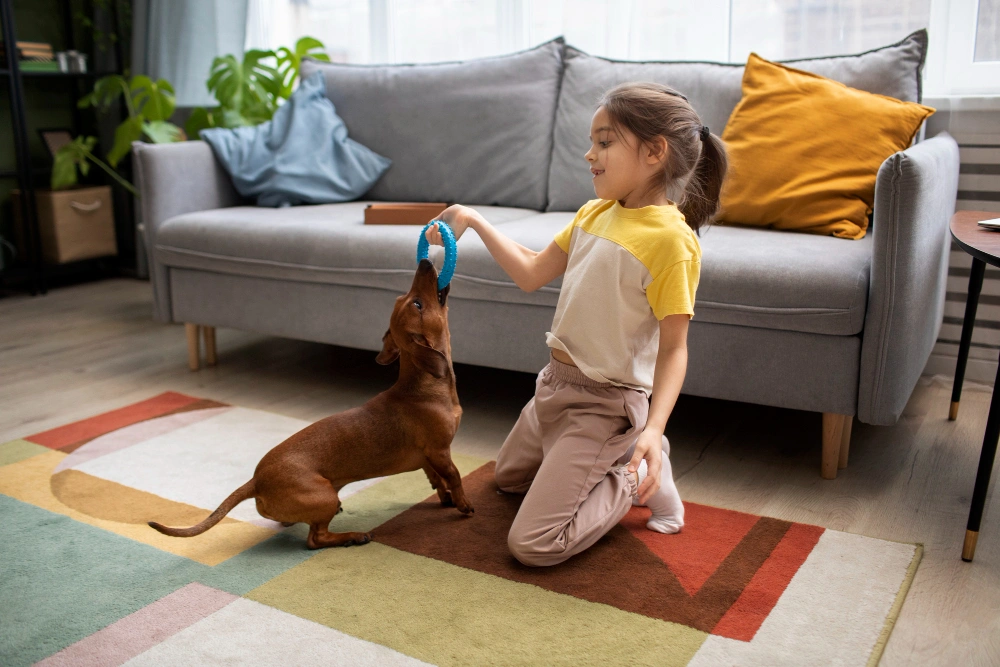 Eco-Friendly Dog Toys for Aggressive Chewers, Eco pet pathway