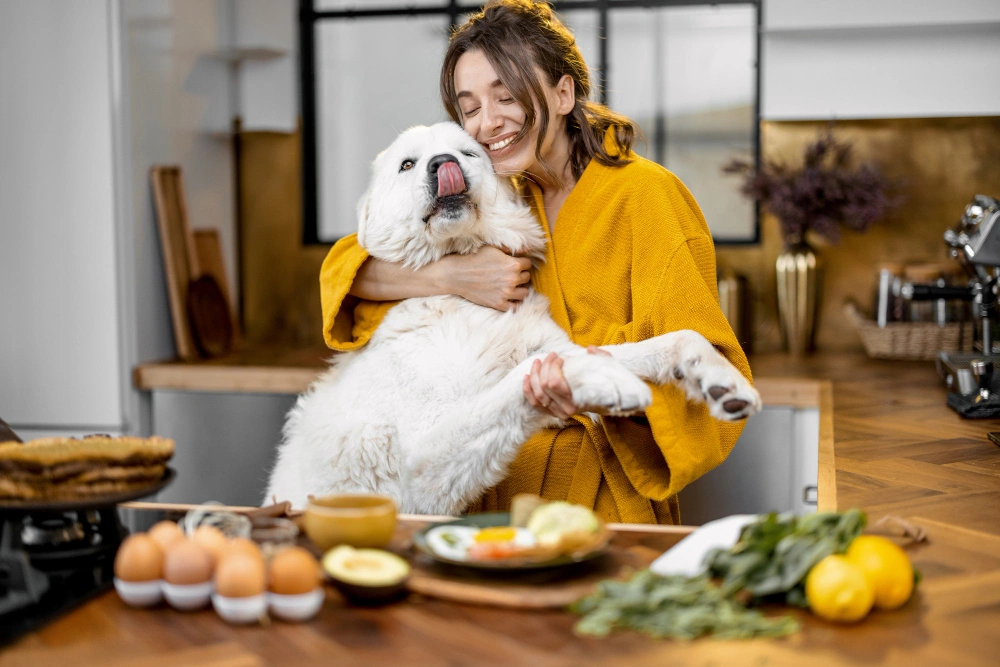 Homemade Dog Food Recipes for Large Breeds, Eco pet pathway