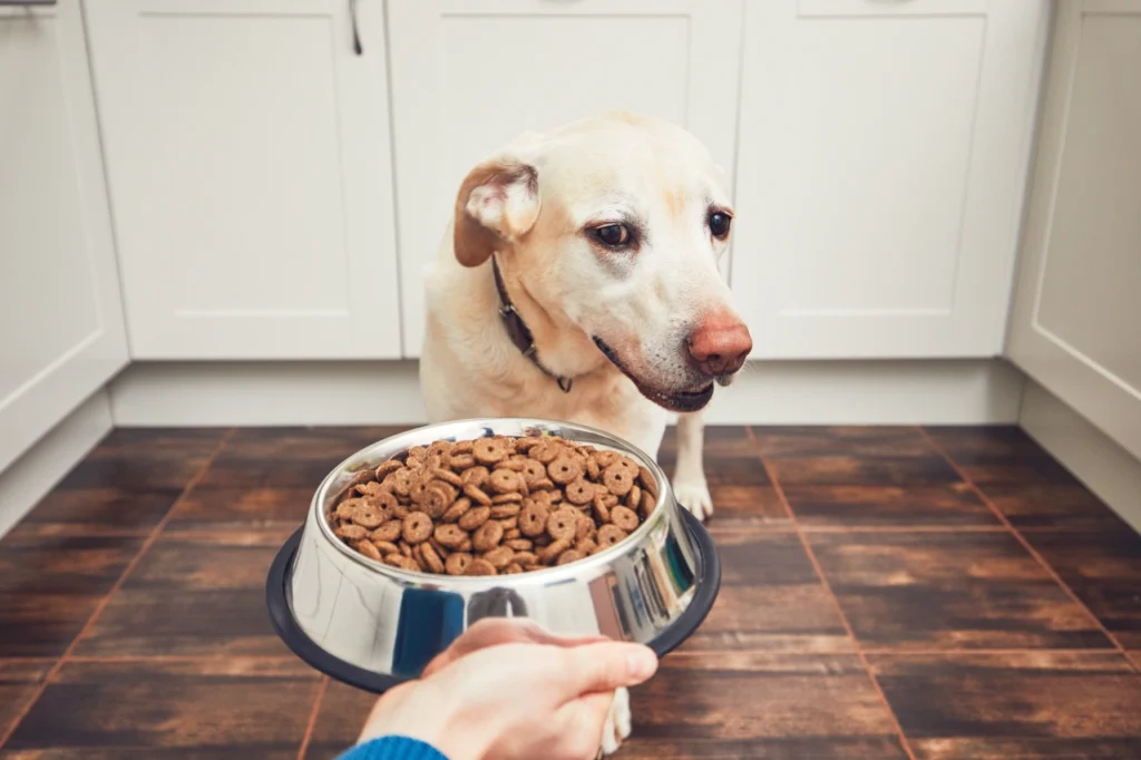 grain free limited ingredient dog food, eco pet pathway
