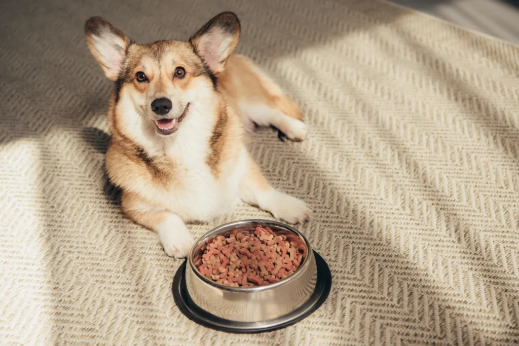 grain free limited ingredient dog food, eco pet pathway